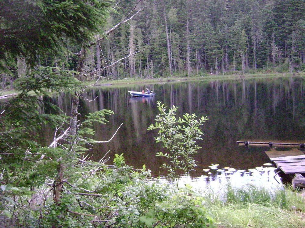 Blue River Cabins & Campgrounds Экстерьер фото